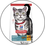 Dry Cat Food